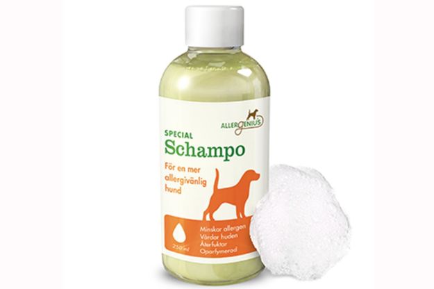 Allergenius Specialschampo gör din hund mer allergivänlig