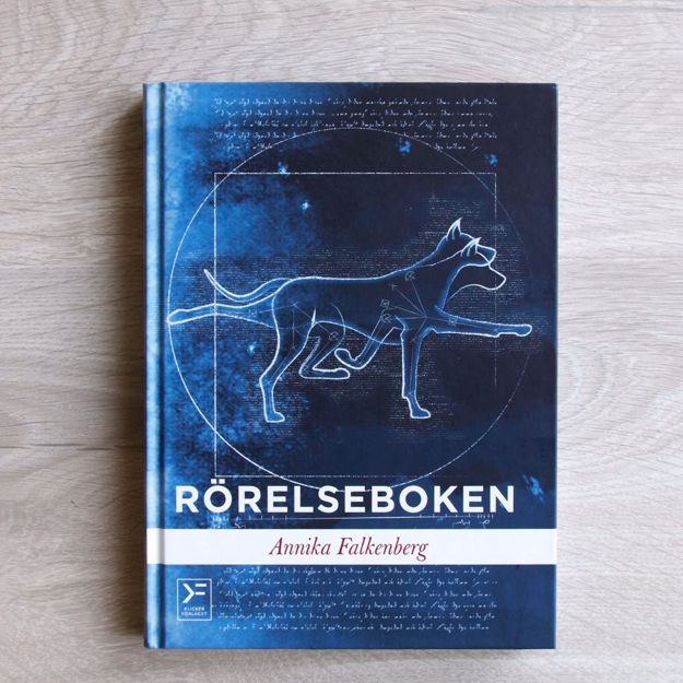 Rörelsehandboken av Annika Falkenberg