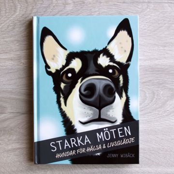 Visa detaljer för Starka möten av Jenny Wibäck Starka möten av Jenny Wibäck