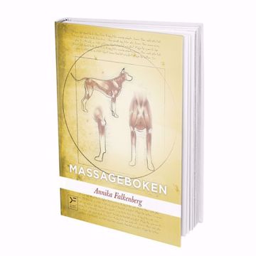 Visa detaljer för Massageboken av Annika Falkenberg Massageboken av Annika Falkenberg