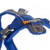 Fästet för kopplet på toppen av line harness i blått från Non-stop dogwear.