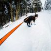 Bungee leash används i skidspåret och hunden som drar har freemotion selen på sig.