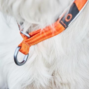 Visa detaljer för Non-stop dogwear Cruise collar - sliphalsband Cruise collar har halvstryp vilket gör öppningen flexible så kopplet går att ta av utan att knäppa upp.