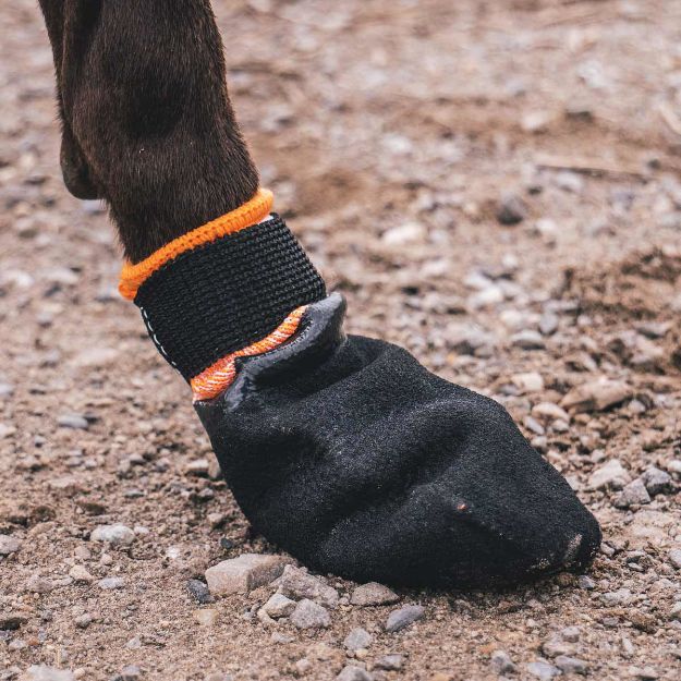 Protector bootie är tossor till hund för att skydda tassen.