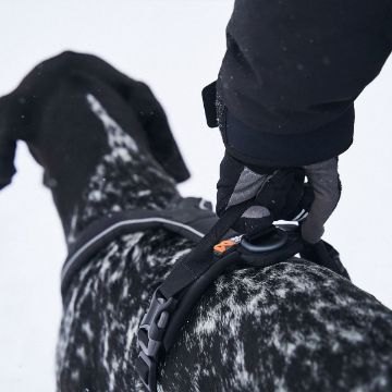 Visa detaljer för Non-stop dogwear Line harness grip - hundsele för vardag, spår och vandring Line harness grip har ett handtag på ryggen som gör att du enkelt kan hålla i din hund.