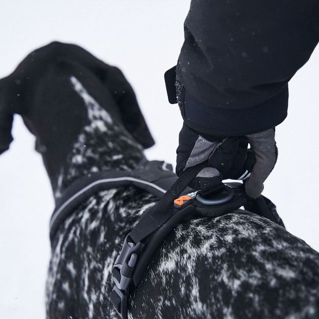 Line harness grip har ett handtag på ryggen som gör att du enkelt kan hålla i din hund.