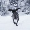 Lycklig hund springer i snön och har på sig sin Non-stop sele.