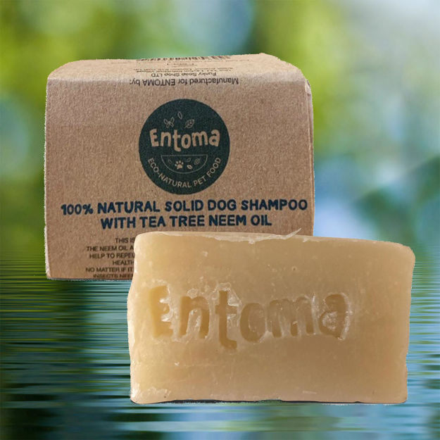 Hårdtvål till hund från Entoma.