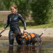 Hund på stranden i Non-stop dogwear flytväst tillsammans med sin matte.