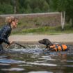 Föraren leker med sin hund i vattnet. Hunden har Non-stop dogwear flytväst.