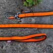 Bungee leash från Non-stop dogwear är ett orange koppel med expander hela vägen.