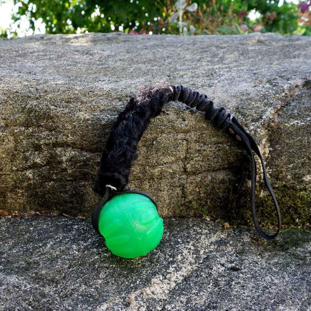 Kira med grön boll och svart fårskinnsdel