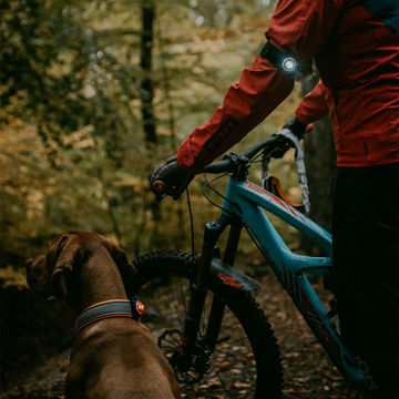 Visa detaljer för Orbiloc K9 Active Pack - dubbla lampor Hunden har Orbiloc dual i frägen amber runt halsen och husse står med cykeln redo med Orbiloc dual i färgen svart runt armen.