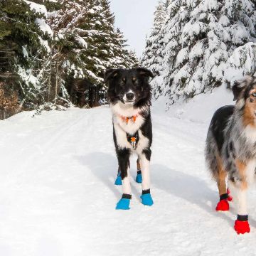 Visa detaljer för Non-stop dogwear Long distance bootie - hundtossor snö Hundtossor i blått från Non-stop dogwear.
