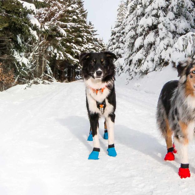 Hundtossor i blått från Non-stop dogwear.