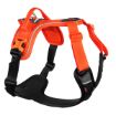 Orange ramble harness från nonstop