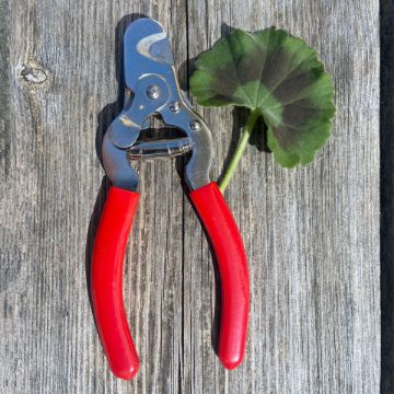 Visa detaljer för Klotång Miller Miller klotång, med skarpa blad och behagligt handtag