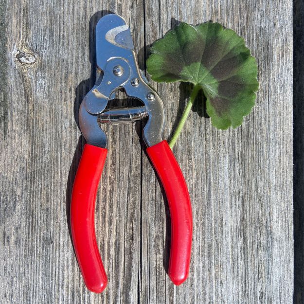 Miller klotång, med skarpa blad och behagligt handtag