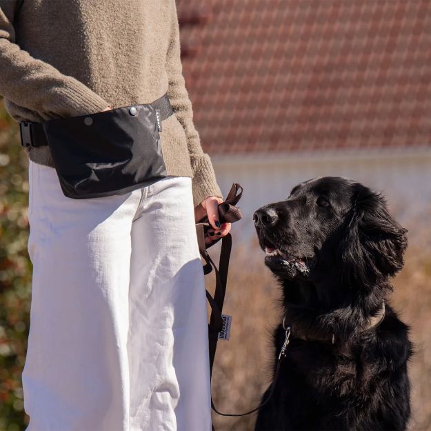 Labanbags rain hundträningsväska