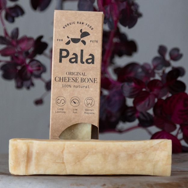 Stort ostben från Pala.
