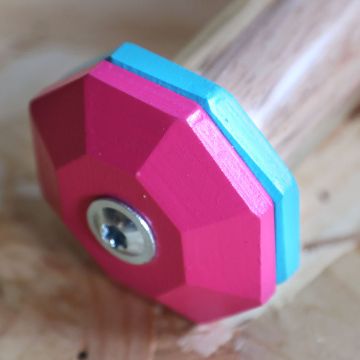 Visa detaljer för Rallylydnadsapport LG, cerise/turkos Rallyapport cerise/turkos från LG.