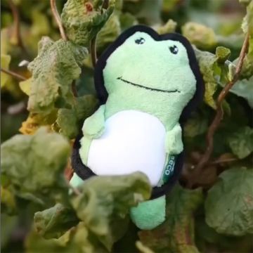 Visa detaljer för Hundleksak - Groda med pip från Beco Hundleksak groda från Beco av återvunnet material