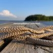 Champagnefärgat koppel i sommarsol.