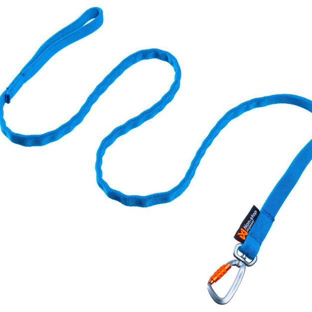 Bungee leash från Non-stop dogwear i blått med expander hela vägen.