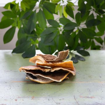 Visa detaljer för Njord nötchips med päls - tuggben Nötchipsen från njord har håret kvar på ena sidan för extra smak.