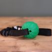 Hundleksaken Hera från Bistos, grön starmarkboll med svart expander.