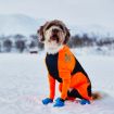 Perro i protector snow och long distance bootie från non-stop dogwear.