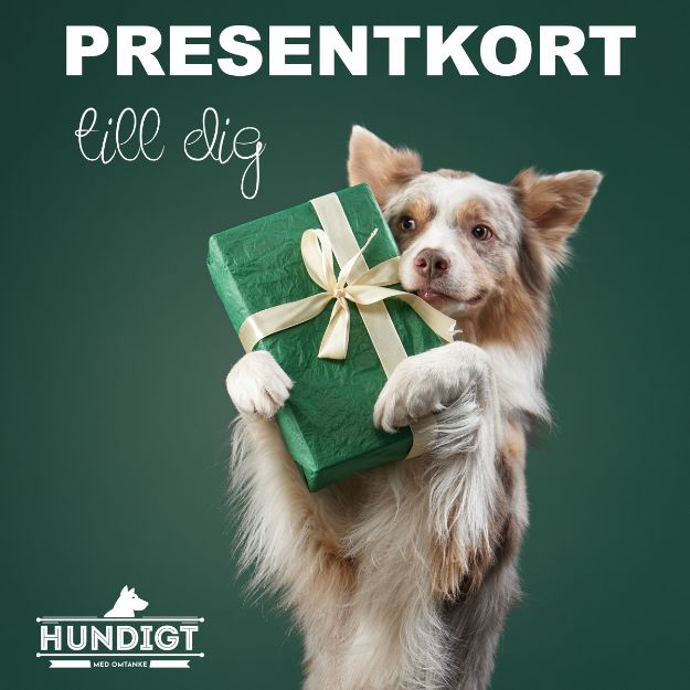 Presentkort från Hundigt