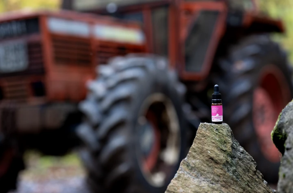 Bild för kategori Nosework kit