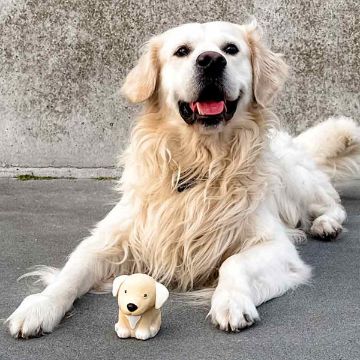 Visa detaljer för Hundleksak Golden Retriever - Hevea Hundleksak Golden Retriever av naturgummi