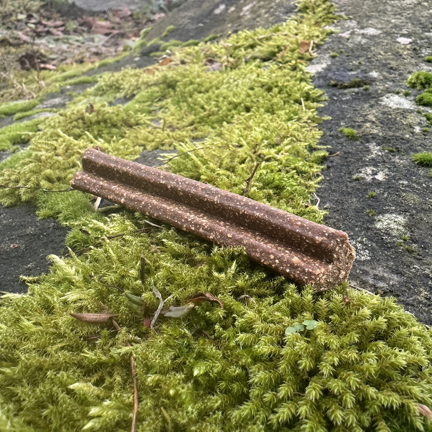 Prova på en tuggpinne från VegDog