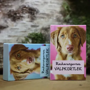 Visa detaljer för Valpkortlek Valpkortleken finns med blå ask eller rosa ask