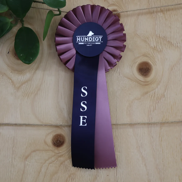 SSE-rosett i snygga färger