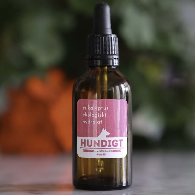 Ekologisk hydrolat eukalyptus till nosework i 50 ml i brun flaska.
