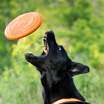 Visa detaljer för Non-stop dogwear Dog flying disc - hundfrisbee Non-stop Dogwears hundfrisbee