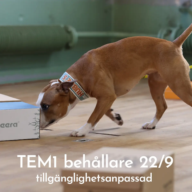 Officiell Nosework-tävling TEM 1 behållare