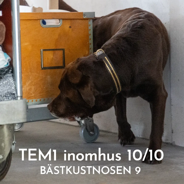Bild på Officiell tävling NW 1 - BÄSTKUSTNOSEN 9