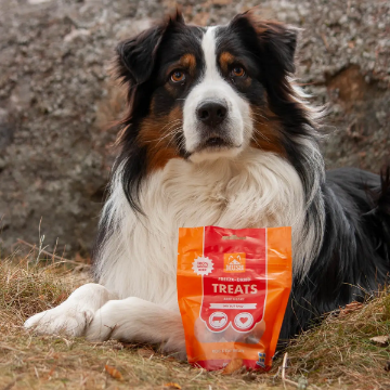 Visa detaljer för MUSH hundgodis - nöthjärta frystorkat Bild på MUSH hundgodis - nöthjärta frystorkat