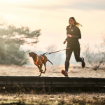 CaniX belt 2.0 från Non-stop runt midjan på matte och hunden har dragsele och bungee leash-kopplet är spänt.