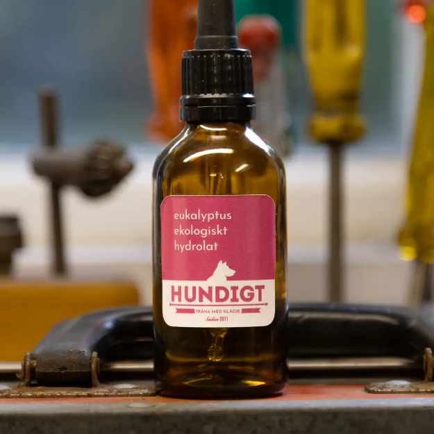 Ekologisk hydrolat eukalyptus till nosework i 50 ml i brun flaska med pipett.