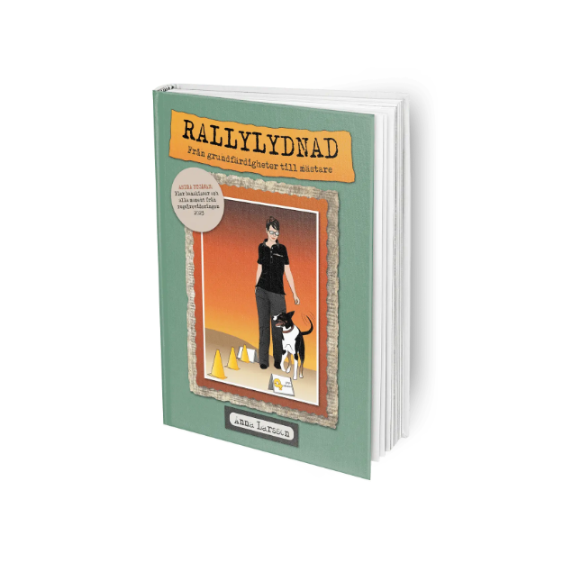 Rallylydnad - från grundfärdigheter till mästarklass