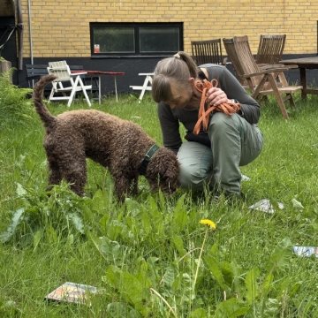 Visa detaljer för Nose Work privatträning med Lina Bild på Nose Work privatträning med Lina