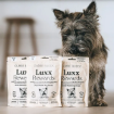 Bild på Luxx Rewards hundgodis - Globe Buddy