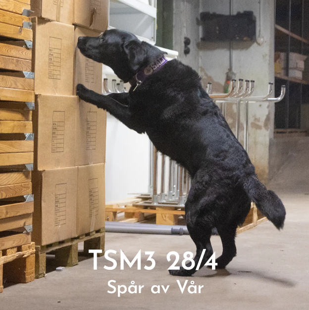 Bild på Officiell tävling NW 3 - Spår av Vår