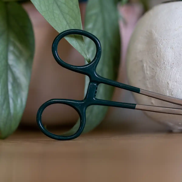 Bild på Peang  till nosework & specialsök mörk grön