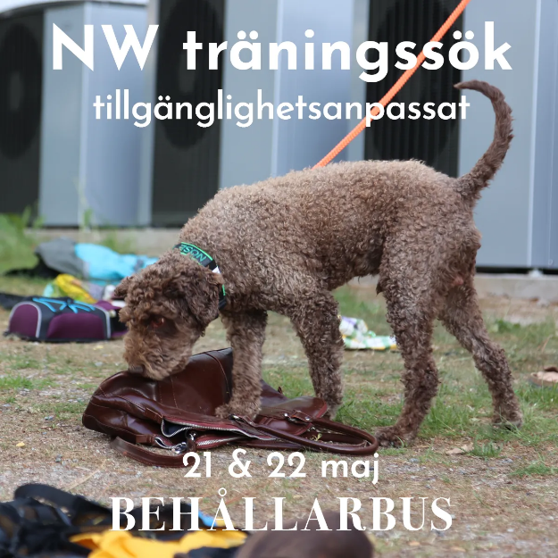 Bild på Nose Work träningssök behållarbus 21/5 & 22/5